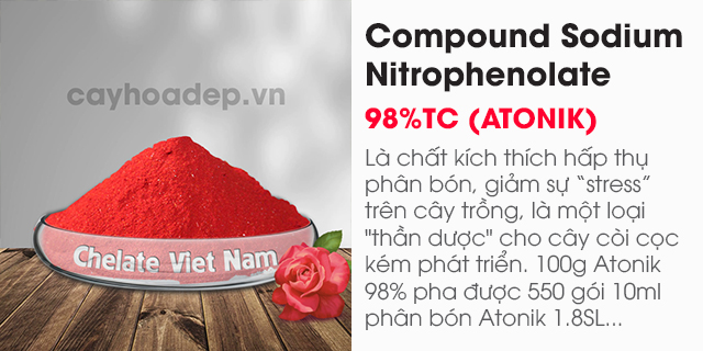 Compound Sodium Nitrophenolate 98%TC (ATONIK)